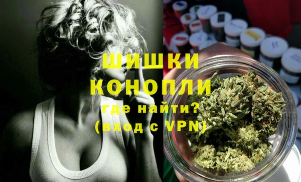 амф Белокуриха