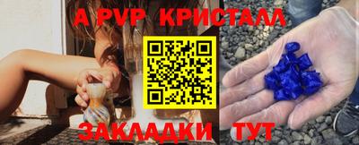 прущие грибы Тула